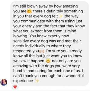 The Dog Daddy dog training testimonial met their individual needs caring for each one