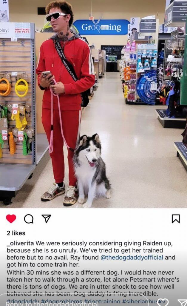 Augusto Deoliveira The Dog Daddy training husky at his side in pet store