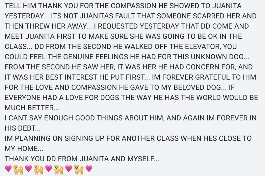 Dog Daddy client testimonial - TELL HIM THANK YOU FOR THE COMPASSION HE SHOWED TO JUANITA YESTERDAY... ITS NOT JUANITAS FAULT THAT SOMEONE SCARRED HER AND THEN THREW HER AWAY... I REQUESTED YESTERDAY THAT DD COME AND MEET JUANITA FIRST TO MAKE SURE SHE WAS GOING TO BE OK IN THE CLASS... DD FROM THE SECOND HE WALKED OFF THE ELEVATOR, YOU COULD FEEL THE GENUINE FEELINGS HE HAD FOR THIS UNKNOWN DOG... FROM THE SECOND HE SAW HER, IT WAS HER HE HAD CONCERN FOR, AND IT WAS HER BEST INTEREST HE PUT FIRST... IM FOREVER GRATEFUL TO HIM FOR THE LOVE AND COMPASSION HE GAVE TO MY BELOVED DOG... IF EVERYONE HAD A LOVE FOR DOGS THE WAY HE HAS THE WORLD WOULD BE MUCH BETTER... I CANT SAY ENOUGH GOOD THINGS ABOUT HIM, AND AGAIN IM FOREVER IN HIS DEBT... IM PLANNING ON SIGNING UP FOR ANOTHER CLASS WHEN HES CLOSE TO MY HOME... THANK YOU DD FROM JUANITA AND MYSELF...